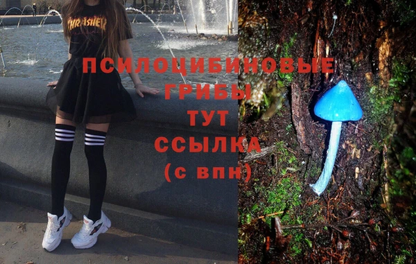 шишки Медногорск