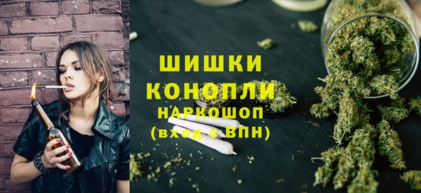 шишки Медногорск