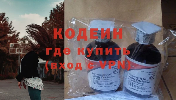 шишки Медногорск