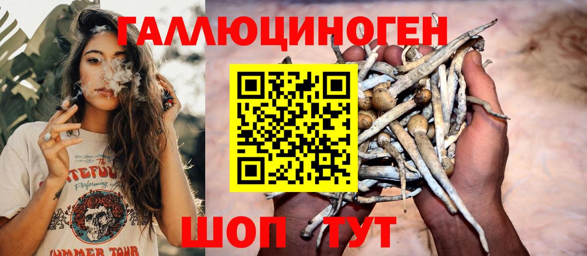 Галлюциногенные грибы Psilocybine cubensis  Вход с VPN  Чусовой 